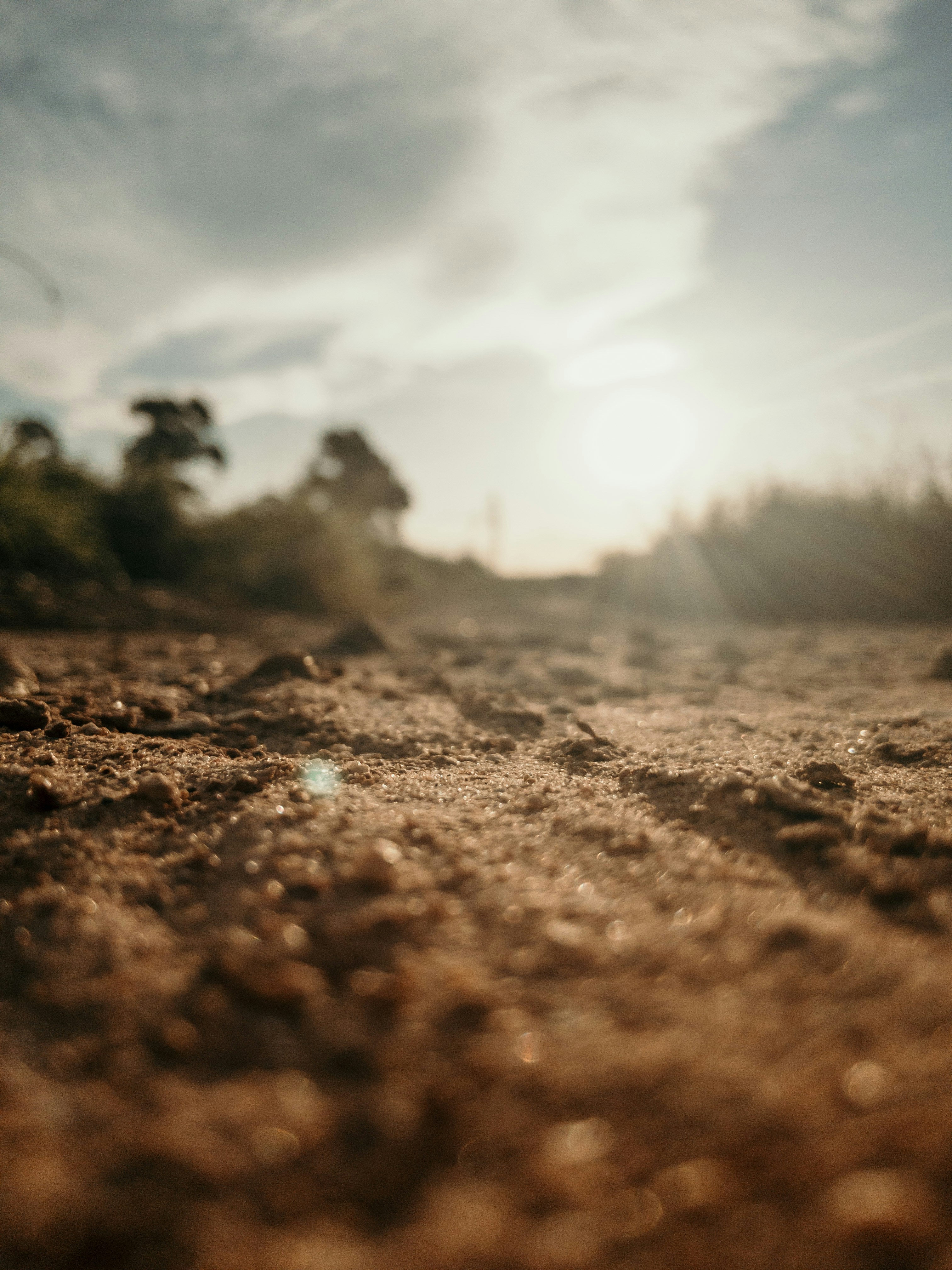 Área de solo e paisagem natural representando planejamento e gestão ambiental